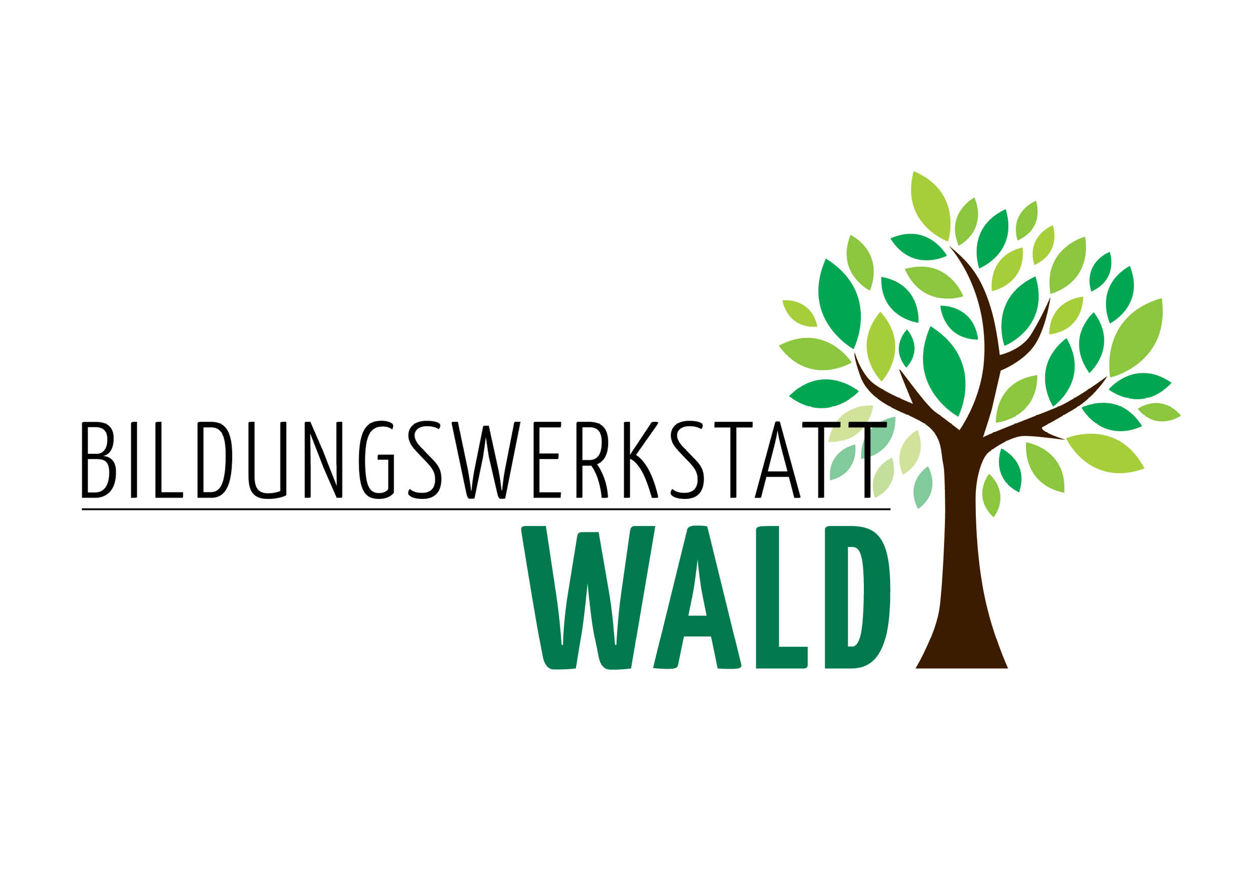 bildungswekstatt Wald